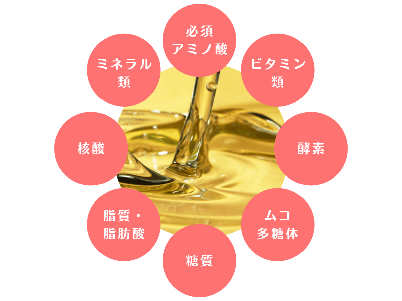プラセンタ注射：主な成分