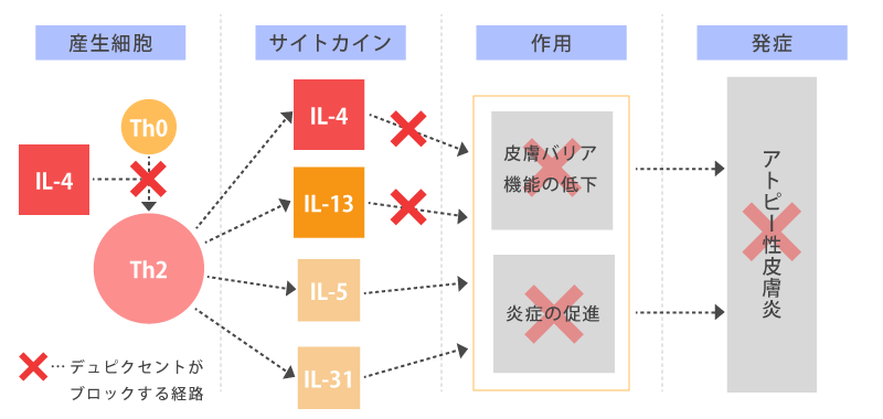 デュピクセントの効果