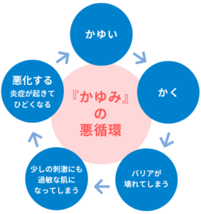 アトピー性皮膚炎の悪循環（Itch-Scratch サイクル）