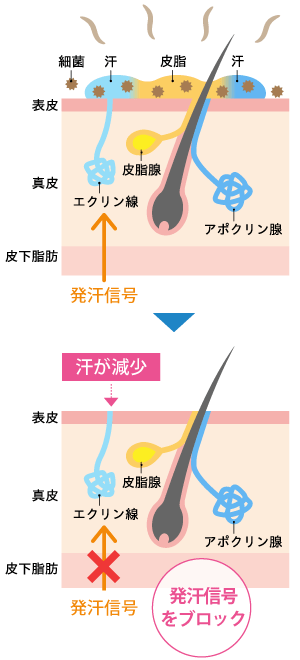 「エクロックゲル® 5%」の効果