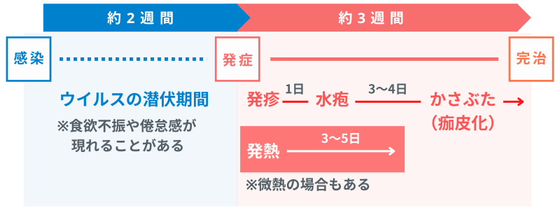 水痘（すいとう：水ぼうそう）の症状と経過