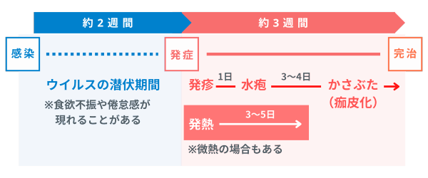 水痘(すいとう:水ぼうそう)の症状と経過