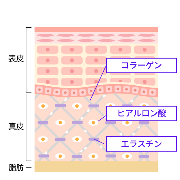 ニールワン®のシワブロック機能1