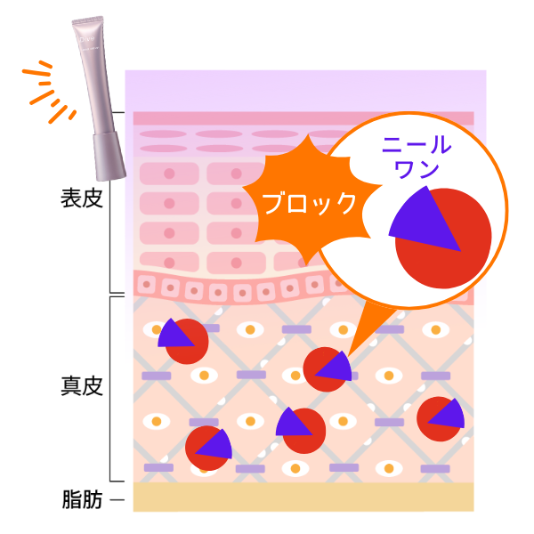 ニールワン®のシワブロック機能4