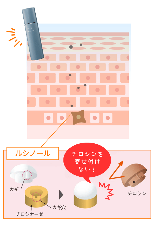 ルシノール®のメラニンロック機能2